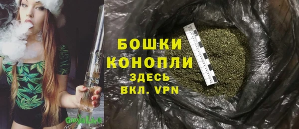 амф Арсеньев