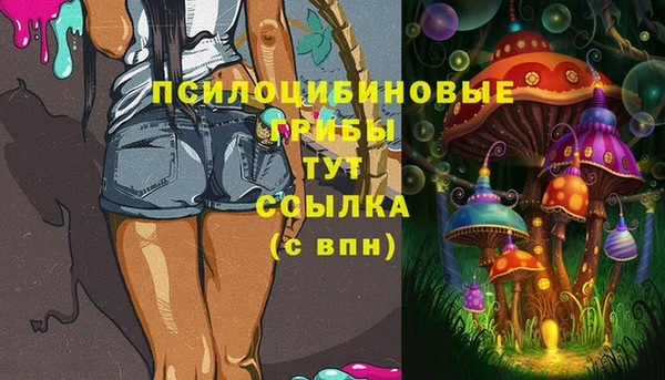 амф Арсеньев