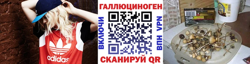 Галлюциногенные грибы GOLDEN TEACHER  Малоярославец 