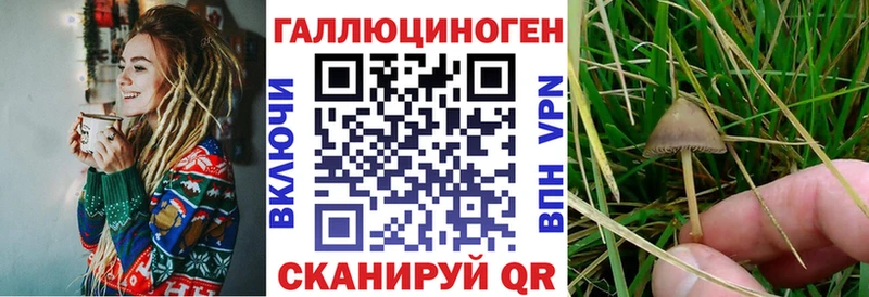 Псилоцибиновые грибы MAGIC MUSHROOMS Малоярославец